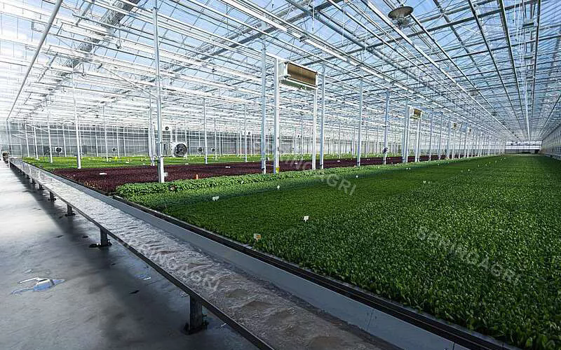 Solusi omah kaca: pendekatan sustainable kanggo tetanèn