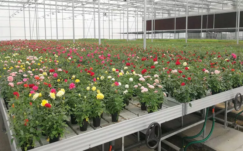 Sistem Griya ijo: Revolusi Agrikultur kanthi solusi sustainable