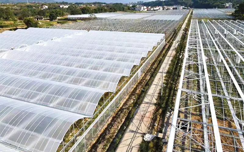 Jelajahi Ridge - Griya ijo plastik ventilasi kanggo nambah produksi lan ngrampungake masalah suhu sing dhuwur