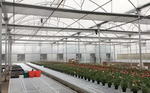 Gandheng Wire Mesh Steel Greenhouse Rolling Benches